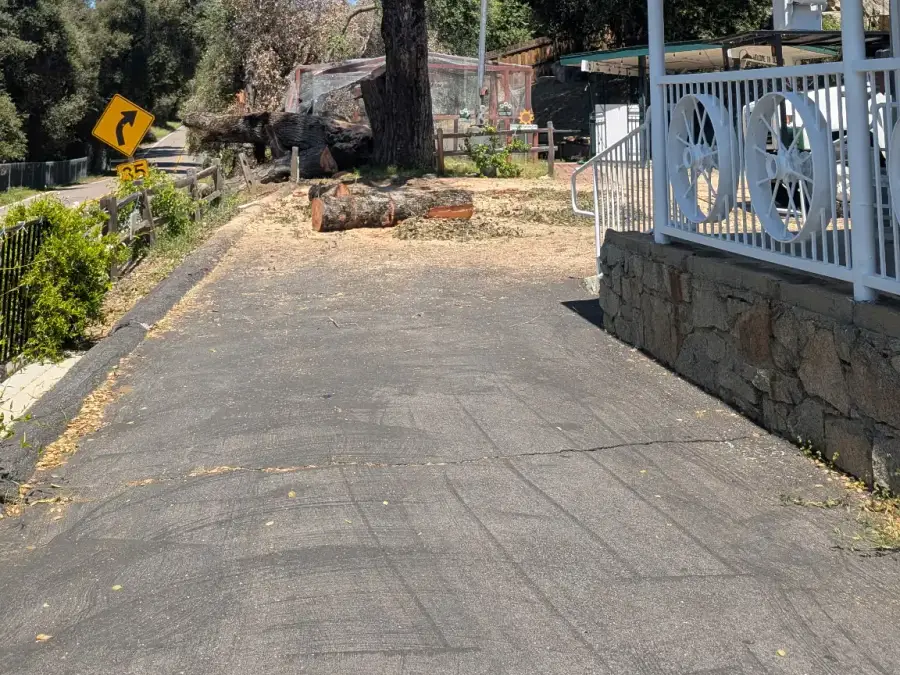 Cut tree trunk sections beside a residential driveway after tree removal