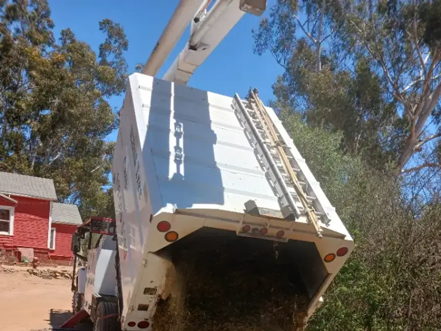 Tree service truck unloading chipped tree material at a worksite