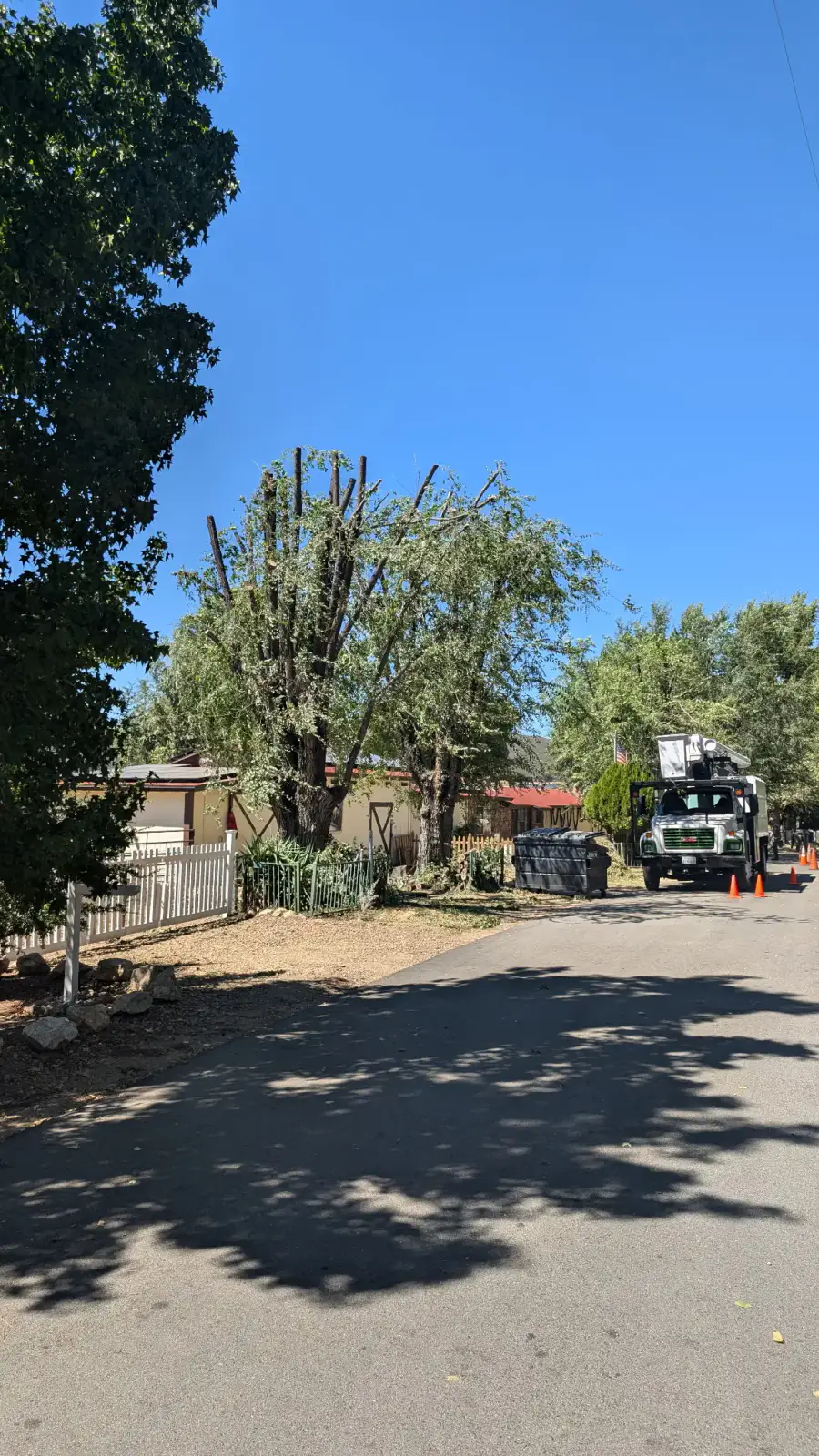 Tree service truck parked beneath a mature tree at a residential property