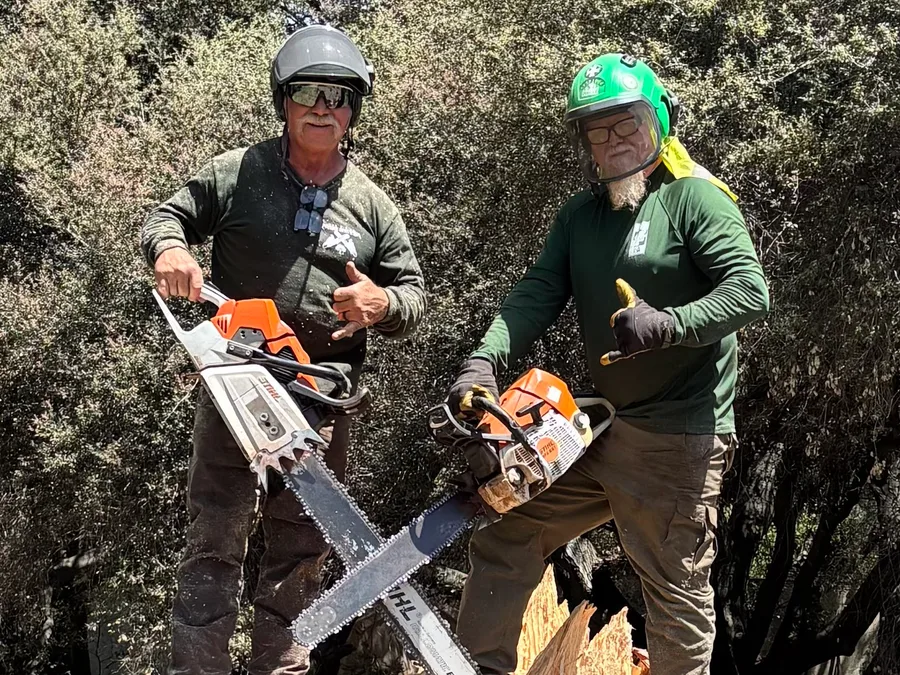 Bob Wining and a tree-service crew member in protective gear with chainsaws at an East County jobsite