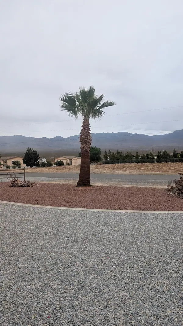 Stump grinding and removal work by Bob Wining Tree Service